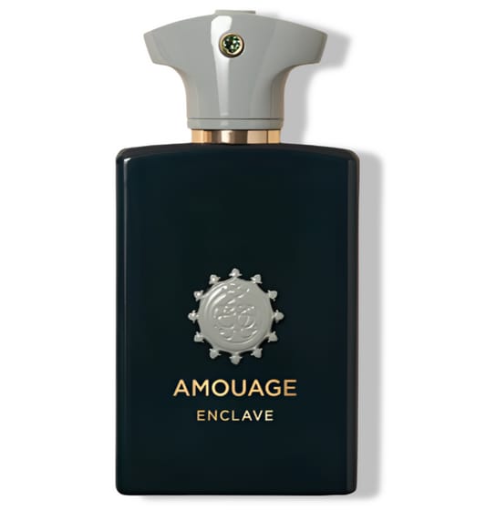 Amouage Enclave Edp M 100Ml (New)