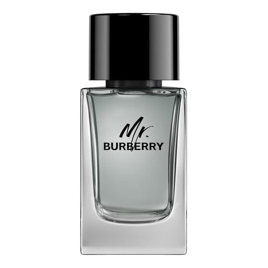 Burberry Mr Burberry Eau De Toilette M 100Ml